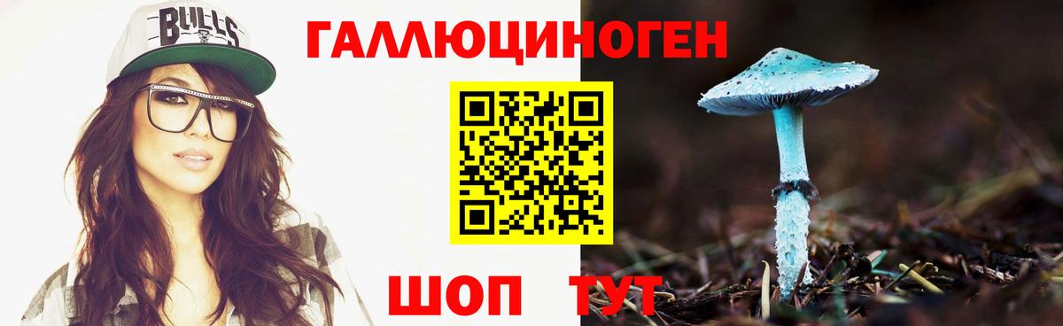 Десногорск  Галлюциногенные грибы Psilocybe  Псилоцибиновые грибы Cubensis  Вход с VPN 